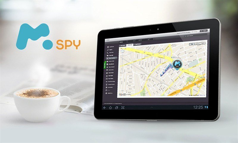 Use Mspy's SMS Spy