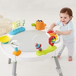 Skip Hop Baby Activity Center