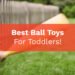 Best Ball Toys For Toddlers!