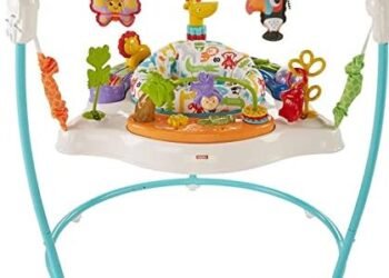 Fisher-Price Animal Activity Saucers